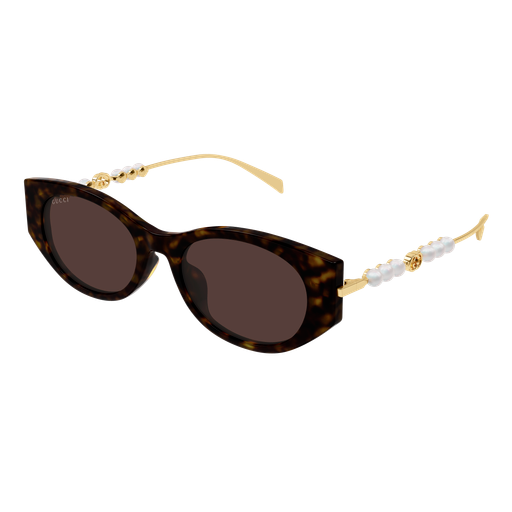 Gucci Sunglasses GG1970SA 003