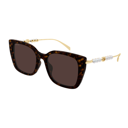 Gucci Sunglasses GG1971SA 003