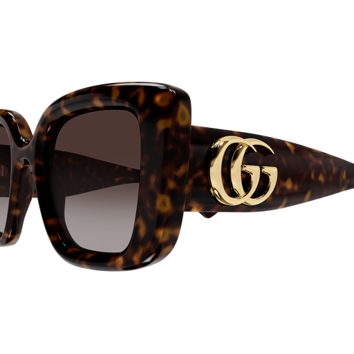 Gucci Sunglasses GG1975S 003