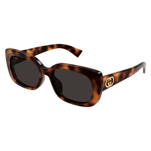 Gucci Sunglasses GG1979SK 002