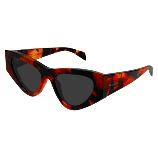 Gucci Sunglasses GG2019S 002