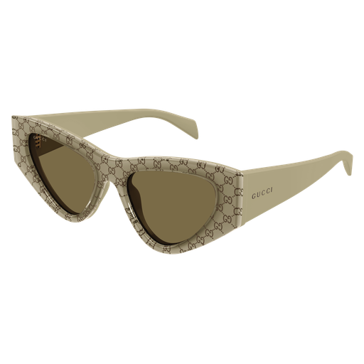 Gucci Sunglasses GG2019S 005