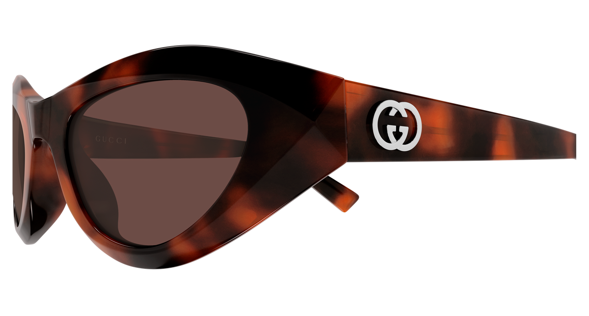 Gucci Sunglasses GG2201S 002