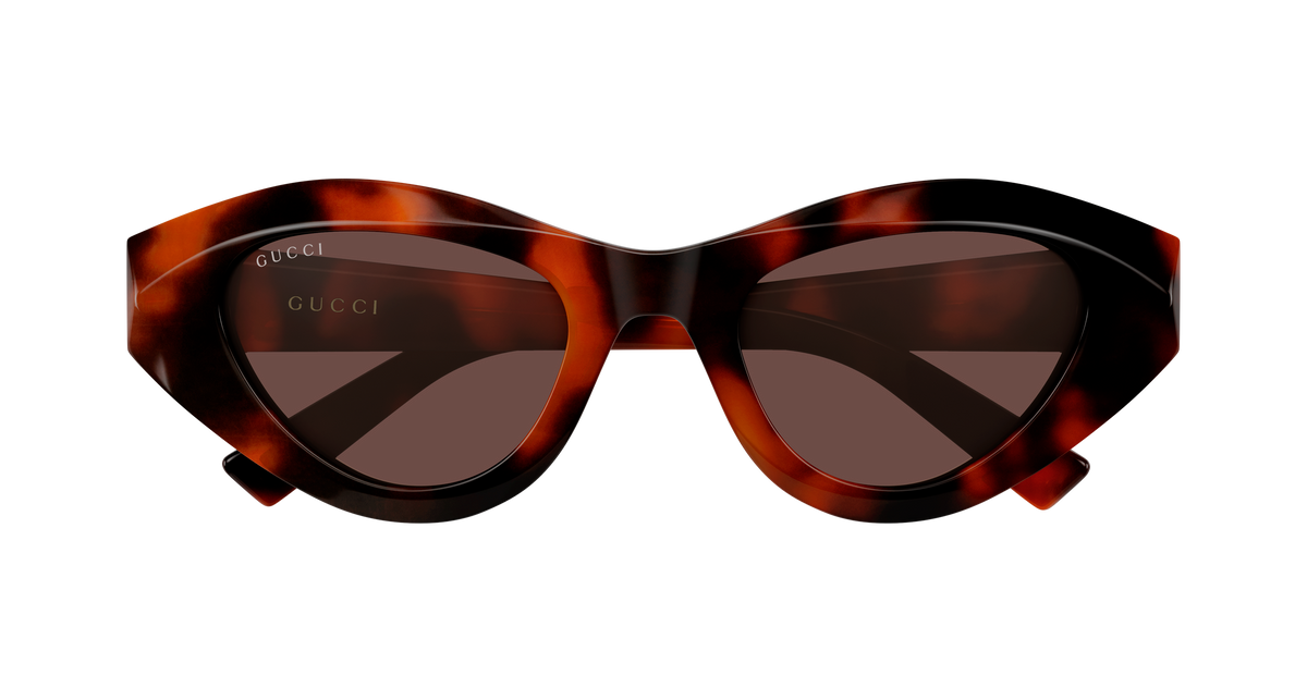 Gucci Sunglasses GG2201S 002