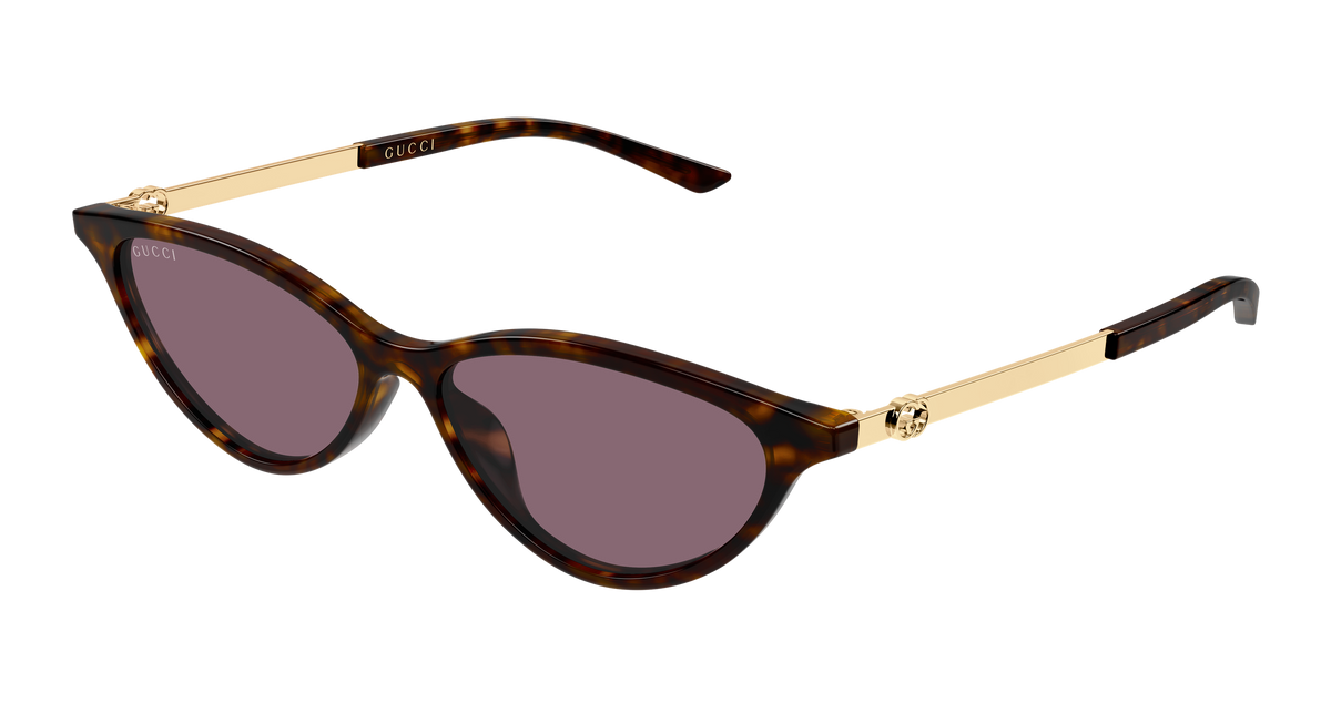 Gucci Sunglasses GG2211S 003