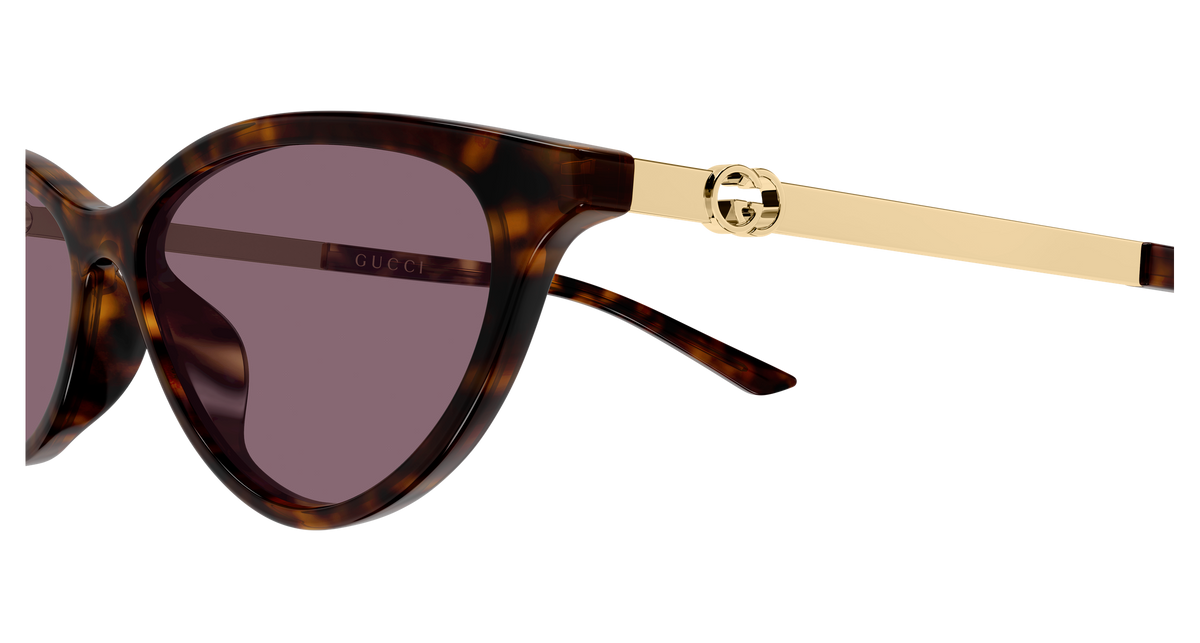 Gucci Sunglasses GG2211S 003