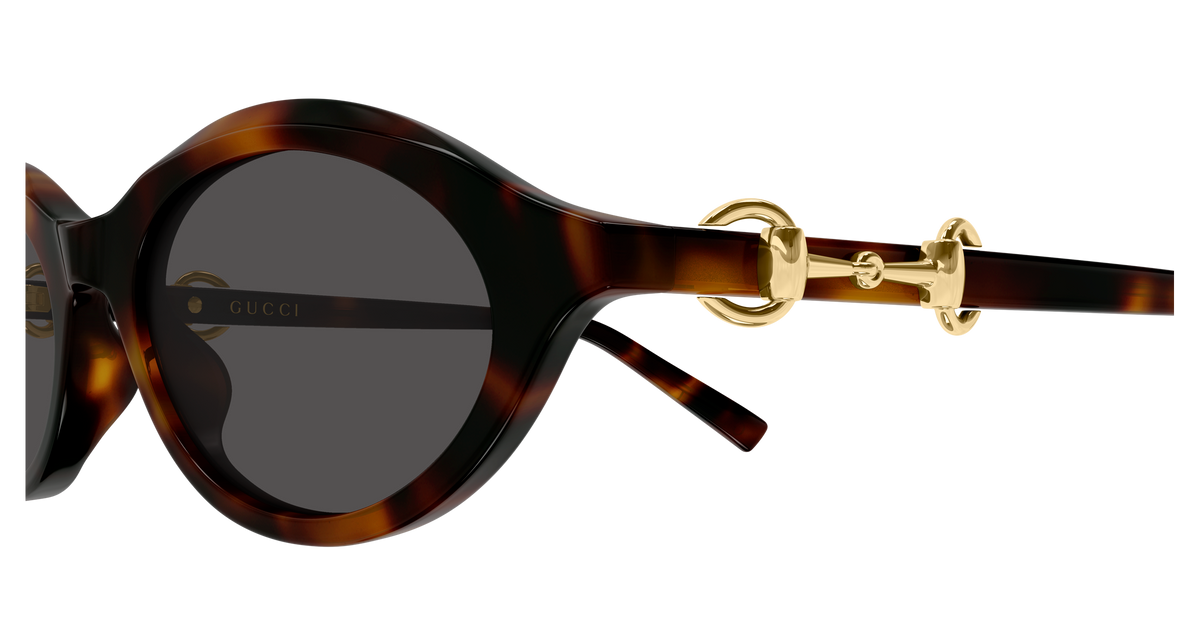 Gucci Sunglasses GG2215S 003
