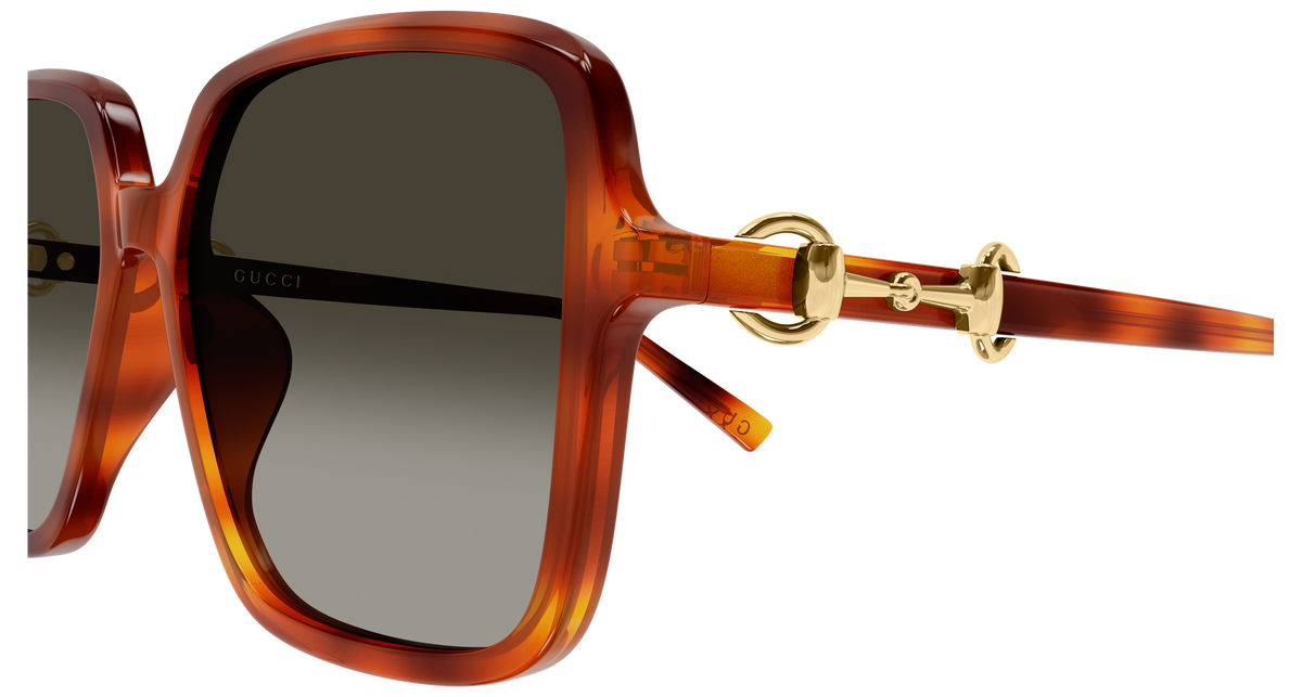 Gucci Sunglasses GG2219SA 002