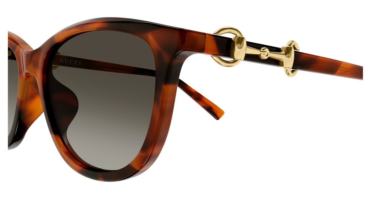 Gucci Sunglasses GG2220SK 002