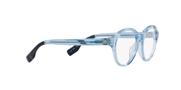 Burberry Eyeglasses JB2006 4079