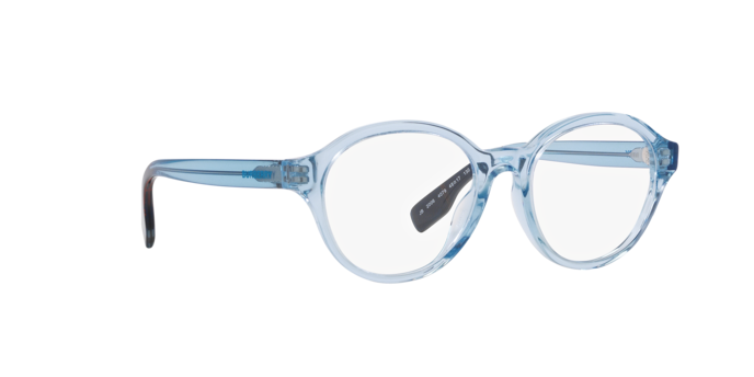 Burberry Eyeglasses JB2006 4079