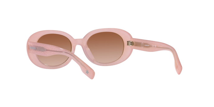 Burberry Sunglasses JB4339 392313
