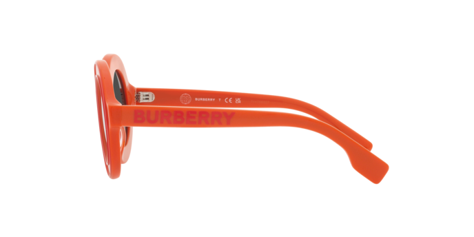 Burberry Sunglasses JB4386 393887
