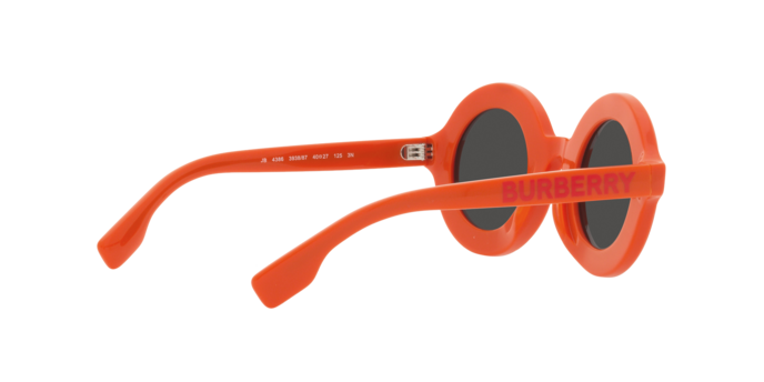 Burberry Sunglasses JB4386 393887