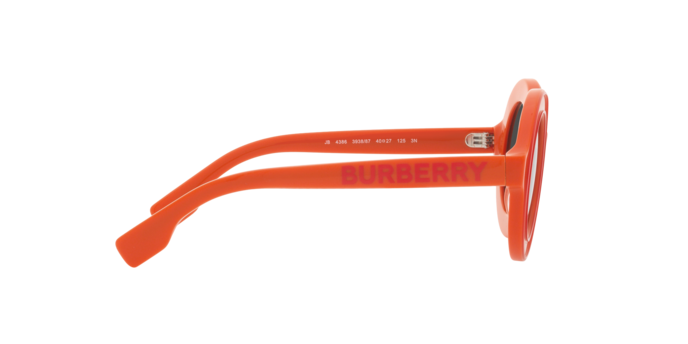 Burberry Sunglasses JB4386 393887
