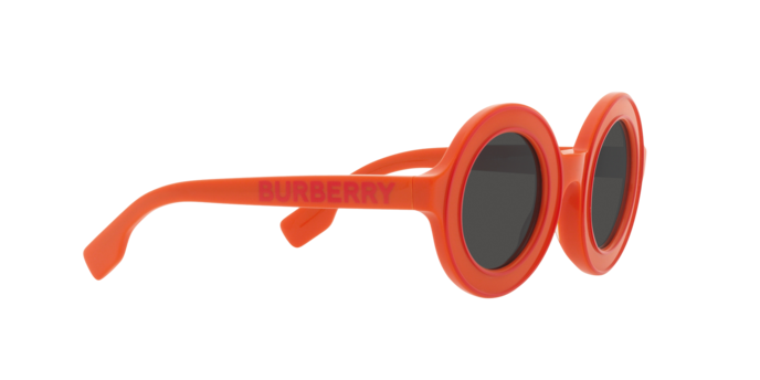 Burberry Sunglasses JB4386 393887