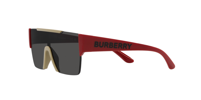 Burberry Sunglasses JB4387 404787