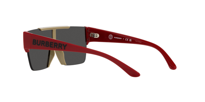 Burberry Sunglasses JB4387 404787