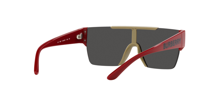 Burberry Sunglasses JB4387 404787