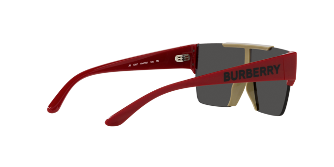 Burberry Sunglasses JB4387 404787