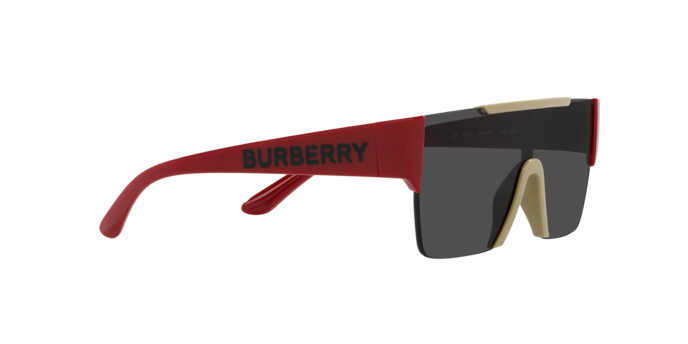 Burberry Sunglasses JB4387 404787