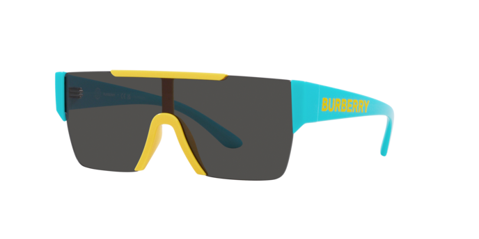 Burberry Sunglasses JB4387 405087