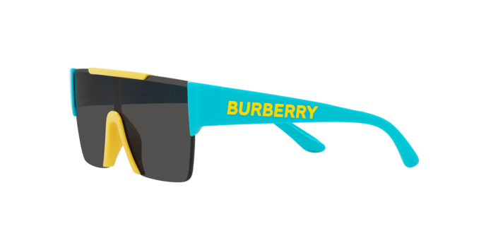 Burberry Sunglasses JB4387 405087