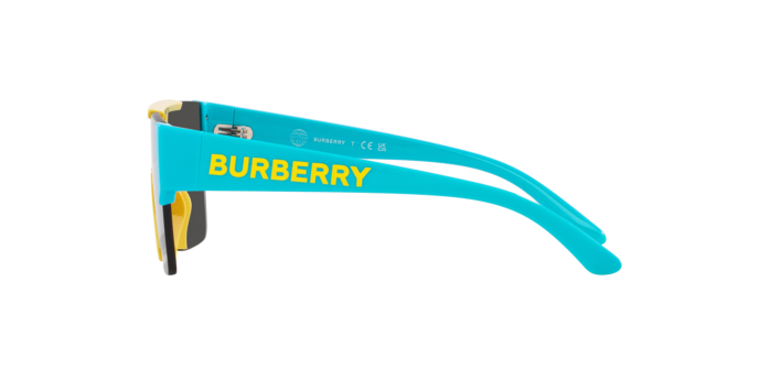 Burberry Sunglasses JB4387 405087