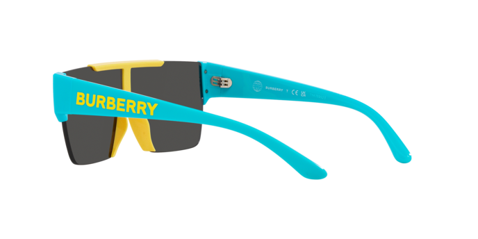 Burberry Sunglasses JB4387 405087