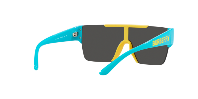 Burberry Sunglasses JB4387 405087