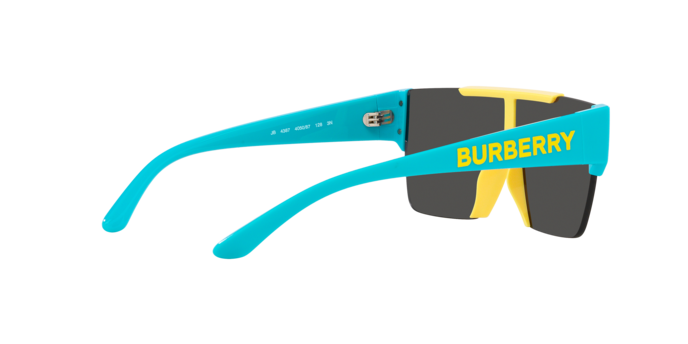 Burberry Sunglasses JB4387 405087