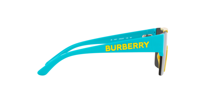 Burberry Sunglasses JB4387 405087
