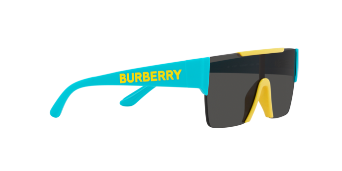 Burberry Sunglasses JB4387 405087