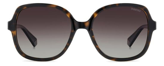 Polaroid {Product.Name} Sunglasses PLD4177/S/X 086/LA