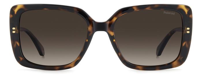 Polaroid {Product.Name} Sunglasses PLD4199/S/X 086/LA