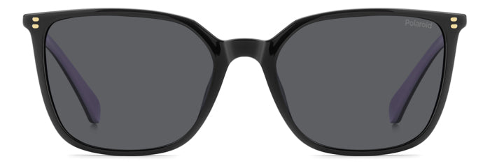 Polaroid {Product.Name} Sunglasses PLD4209/S/X 807/M9