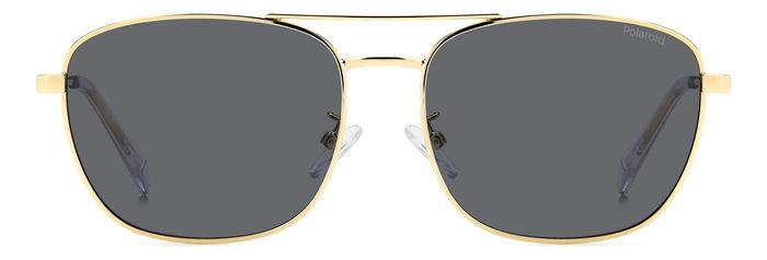 Polaroid {Product.Name} Sunglasses PLD4172/G/S/X 2F7/M9