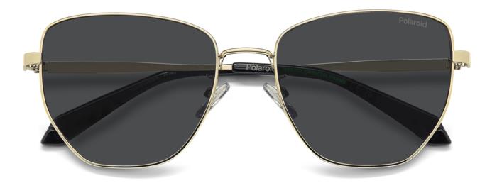 Polaroid {Product.Name} Sunglasses PLD4204/G/S/X 2F7/M9