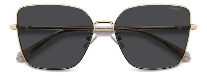 Polaroid {Product.Name} Sunglasses PLD4193/G/S/X 2F7/M9
