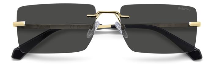 Polaroid {Product.Name} Sunglasses PLD6245/S 2F7/M9