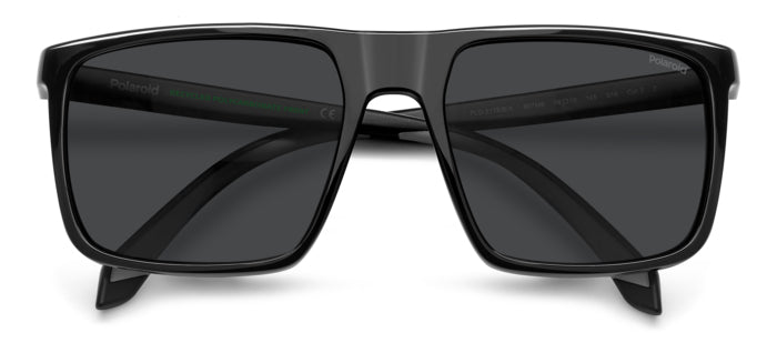 Polaroid {Product.Name} Sunglasses PLD2176/S/X 807/M9