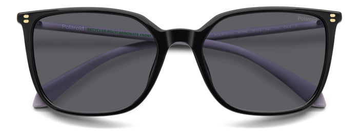 Polaroid {Product.Name} Sunglasses PLD4209/S/X 807/M9