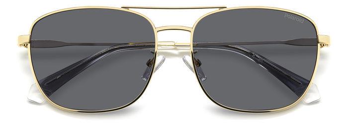 Polaroid {Product.Name} Sunglasses PLD4172/G/S/X 2F7/M9