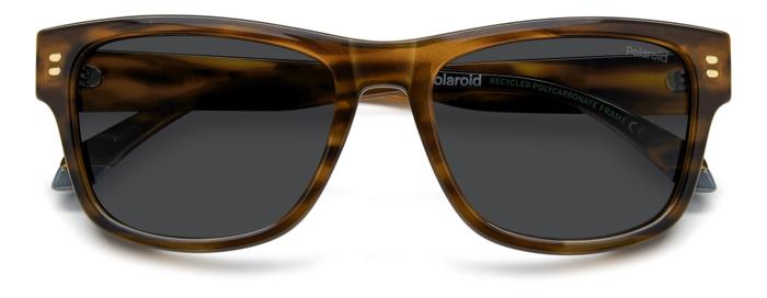 Polaroid {Product.Name} Sunglasses PLD6252/S/X L9G/M9
