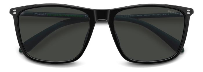 Polaroid {Product.Name} Sunglasses PLD4210/S/X 807/M9