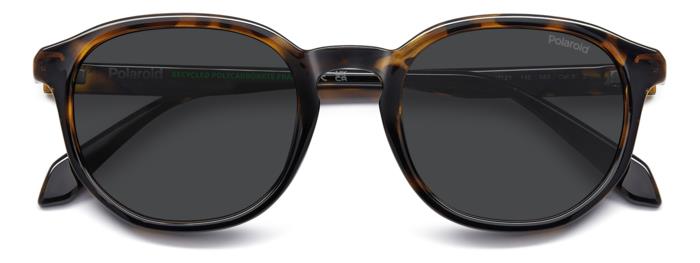 Polaroid {Product.Name} Sunglasses PLD4195/S 086/M9