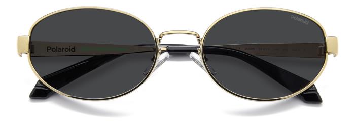 Polaroid {Product.Name} Sunglasses PLD6254/S/X J5G/M9