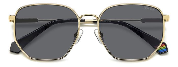 Polaroid {Product.Name} Sunglasses PLD6214/S/X 2F7/M9