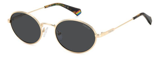 Polaroid {Product.Name} Sunglasses PLD6228/S/X 000/M9