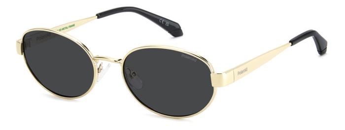 Polaroid {Product.Name} Sunglasses PLD6254/S/X J5G/M9